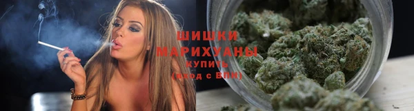 ГАЛЛЮЦИНОГЕННЫЕ ГРИБЫ Осинники