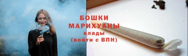 ГАЛЛЮЦИНОГЕННЫЕ ГРИБЫ Осинники