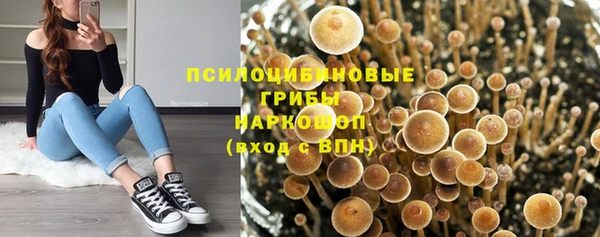 ГАЛЛЮЦИНОГЕННЫЕ ГРИБЫ Осинники