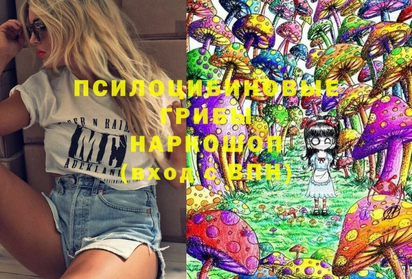 прущий лед Осташков