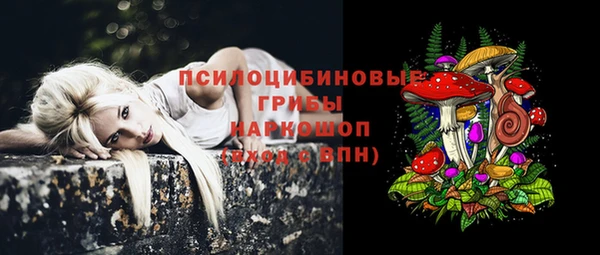 прущий лед Осташков