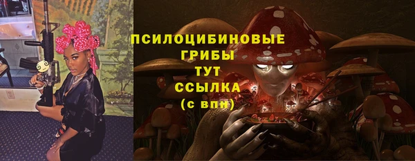 прущий лед Осташков