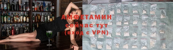 ГАЛЛЮЦИНОГЕННЫЕ ГРИБЫ Осинники