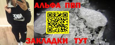 амф Можга