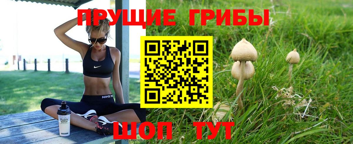 Галлюциногенные грибы Magic Shrooms Первоуральск