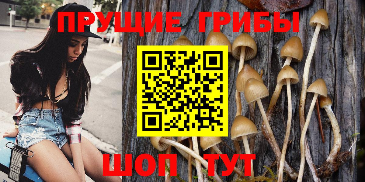 Галлюциногенные грибы MAGIC MUSHROOMS  Вход с VPN  Первоуральск  Галлюциногенные грибы Magic Shrooms 